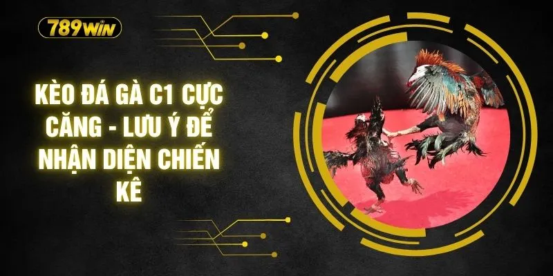 Kèo Đá Gà C1 Cực Căng - Lưu Ý Để Nhận Diện Chiến Kê 1 Kèo Đá Gà C1 Cực Căng - Lưu Ý Để Nhận Diện Chiến Kê